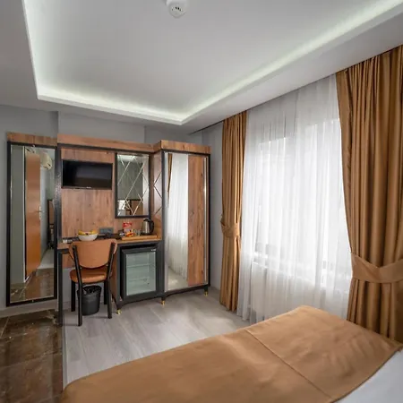 ホテル Boutique Dedem Sultanahmet