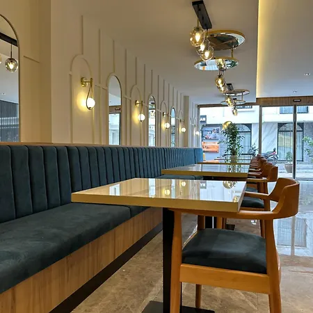 酒店 Boutique Dedem Sultanahmet 伊斯坦布尔