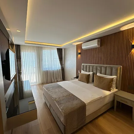 酒店 Boutique Dedem Sultanahmet 3*