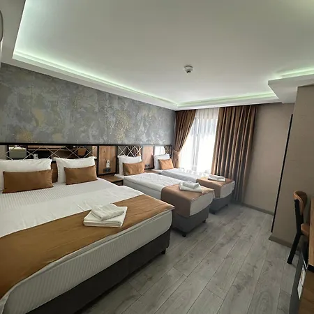 Boutique Dedem Sultanahmet 酒店 3*